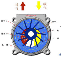 水环真空泵的结构原理图