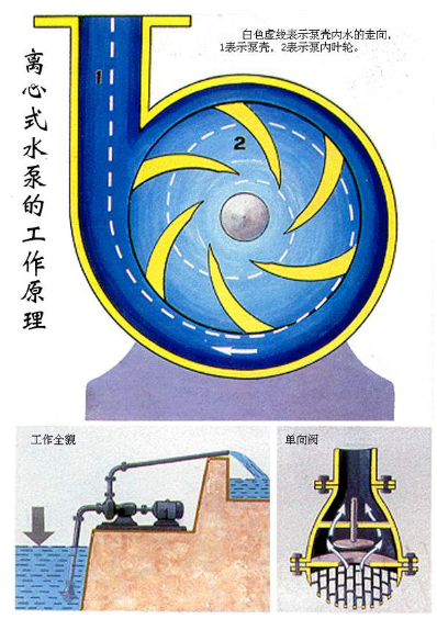 滤布冲刷水泵的结构原理图